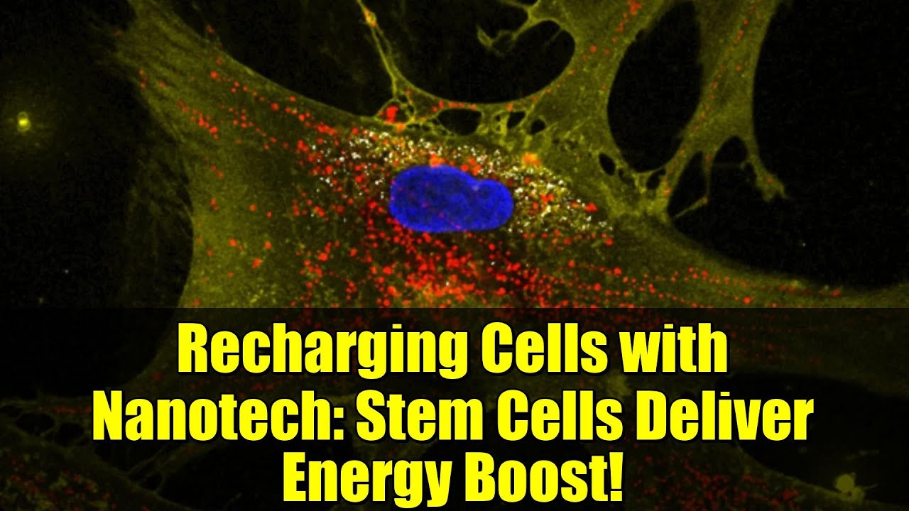 Recharging Cells with Nanotech: Stem Cells Deliver Energy Boost!