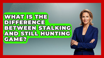 What Is The Difference Between Stalking And Still Hunting Game? - The Marksman