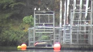 Bonneville Dam 5/21/12