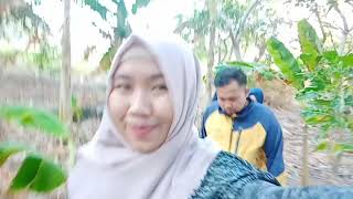 Bukit Nane Polassi Island