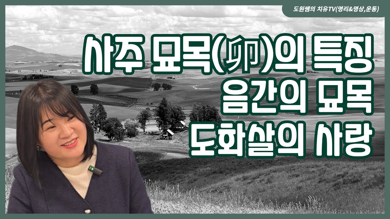 사주 묘목의 특징 | 음간의 묘목 | 도화살의 사랑
