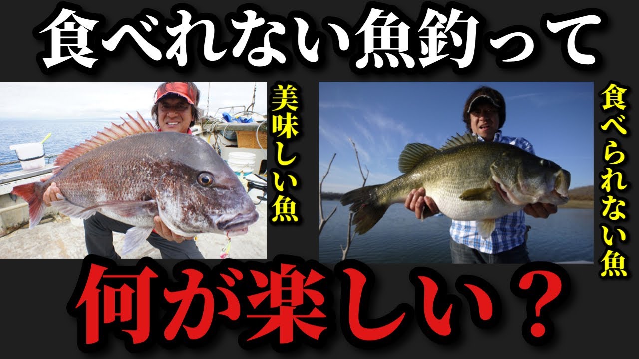 村田基】食べられないバスを釣って何が楽しい？村田さんがバス