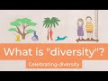 What is diversity diversity for kids