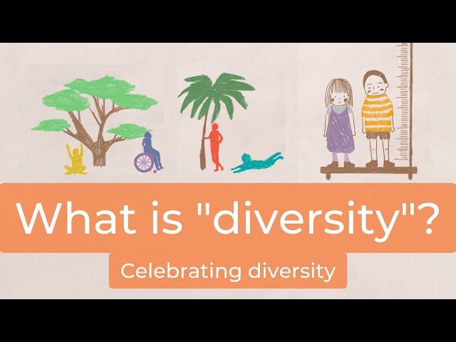 What is diversity? [Diversity for kids] class=