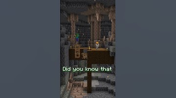 DRIPSTONE fact you didn