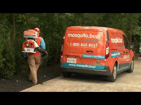 Innovation Oxford dives into mosquito control with Mosquito.buzz - video from Mosquito.Buzz