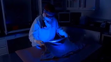 Blue Light Screening