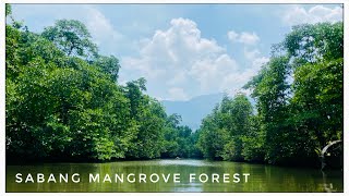 Paddle Boat Tour at Sabang Mangrove Forest (PUERTO PRINCESA, PALAWAN)