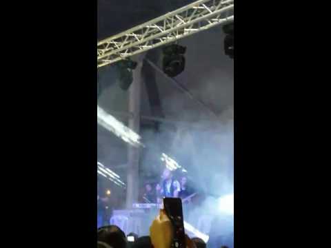 Resul Dindar Kara üzüm Salkumi 