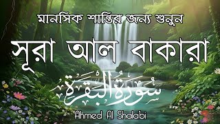          Most Powerful Surah Baqarah  Ahmed Al Shalabi