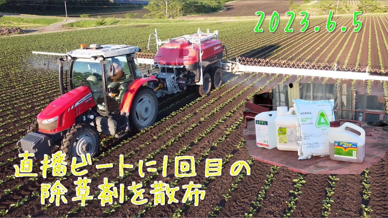 【2023.6.5】直播ビートに1回目の除草剤を散布　　　　北海道美幌町