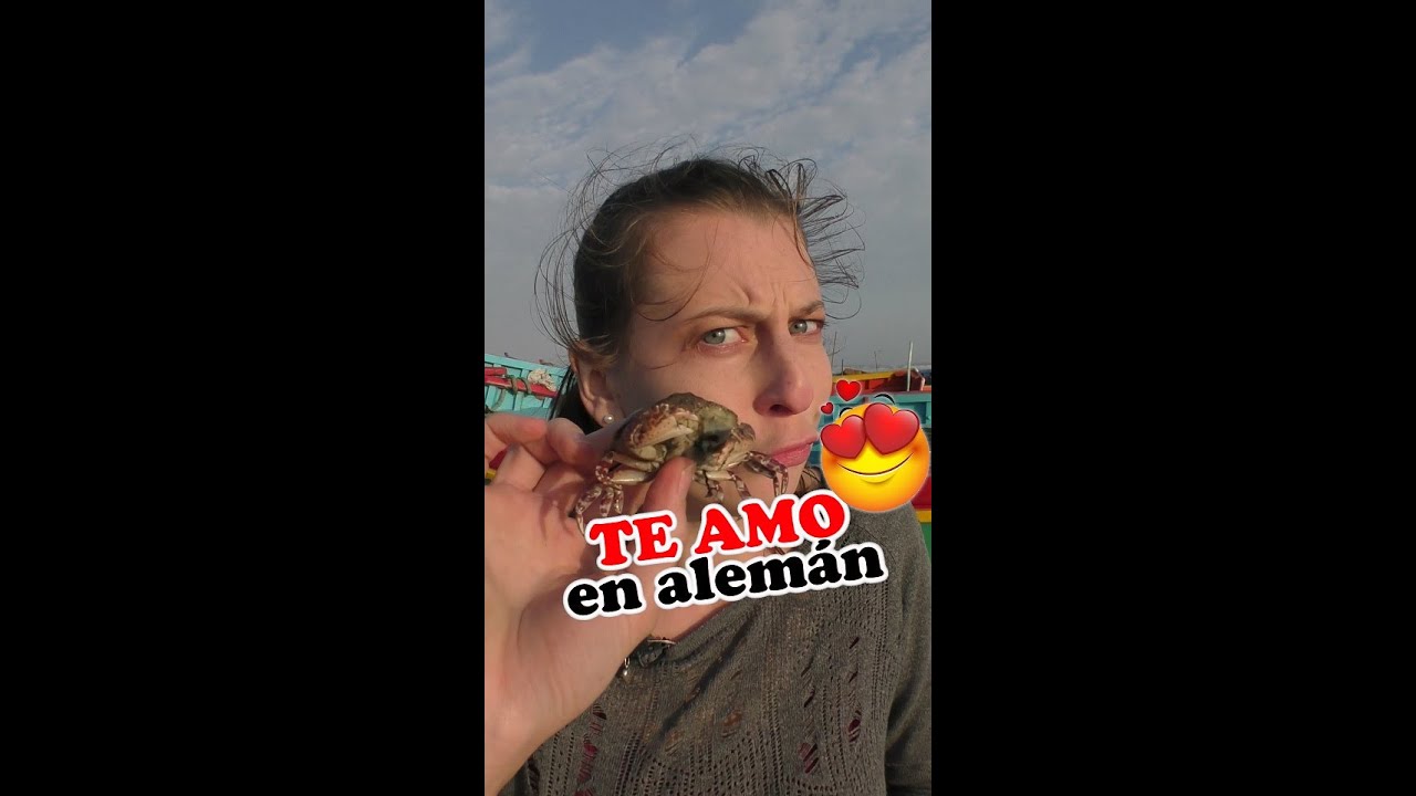 Cómo decir TE AMO en ALEMÁN YouTube