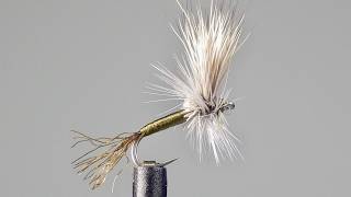 Tying BWO Special Dry Fly