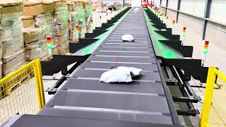 VPAI automatic parcel sorting machine 