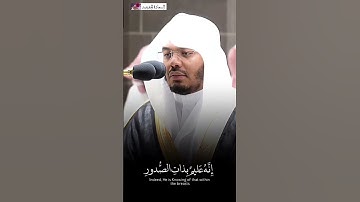 إِنه عليم بذات الصدور ~تلاوة هادئة للشيخ ياسر الدوسري ||قرآن كريم 🌿🤍.