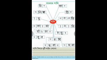 #বাংলার পাখি#class one#amar boi#part3#birdsname#चिड़िया#shorts