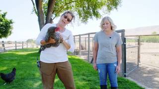 Prosser Farm | Prosser, WA | Washington Grown