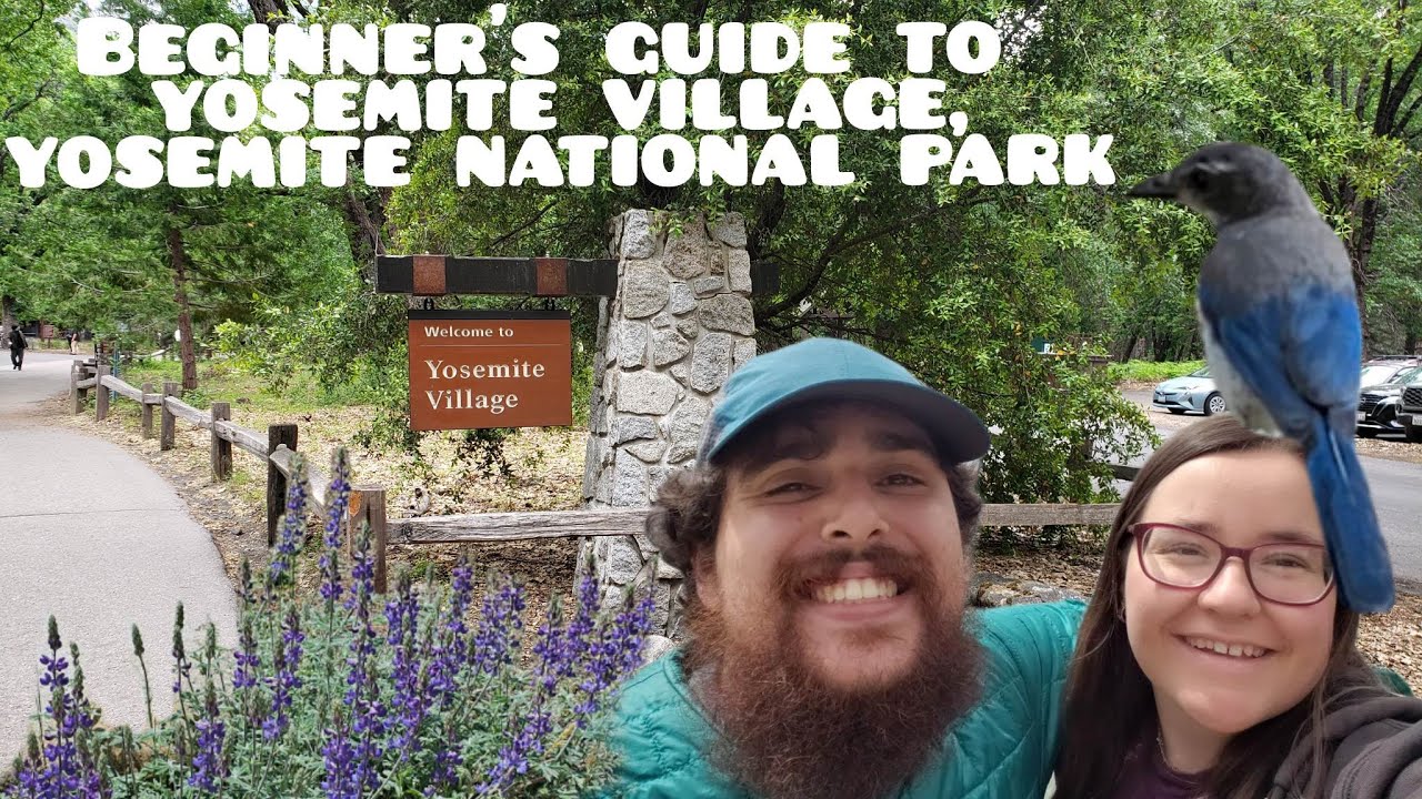 Beginner's Guide to Yosemite Village, Yosemite National Park Watch