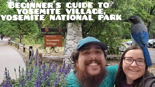 Celebrity Beginner's Guide to Yosemite Village, Yosemite National Park - Watch before you go! Net Worth