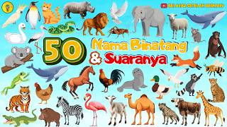 50 Animal Names and Their Sounds - Learn to Recognize Animal Names and Their Sounds
