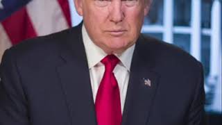 A Sincere Ode to President Donald Trump (lyrics in the description)