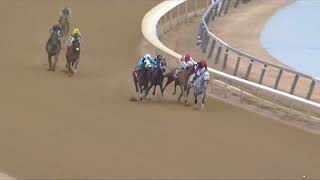 R4 19:42 Aqueduct 19 Feb 2026