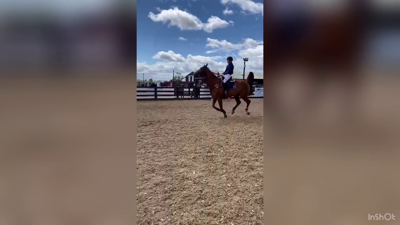 6070 cm equestrian Centre showjumping 5.7.20 YouTube