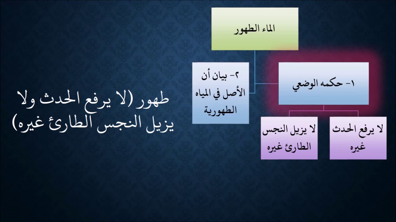 02شرح زاد المستقنع - عامر بهجت - 1440هـ - (كتاب الطهارة - المياه)