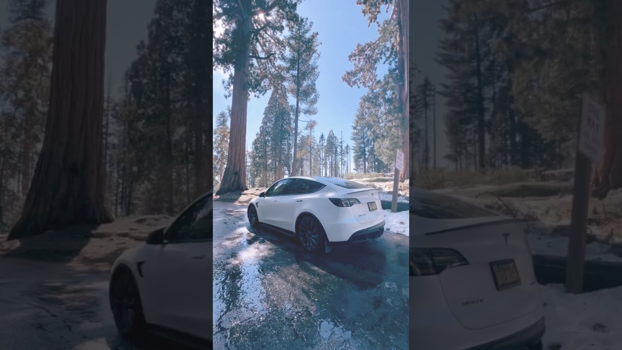 Exploring Sequoia National Park the Tesla way! 
