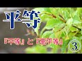 すべての人は皆平等なのです《平等》③とは【なごやか仏教425】