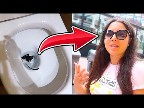 OCURRE UN ACCIDENTE MUY ASQUEROSO... ¡SE ME CAEN LAS GAFAS AL RETRETE!