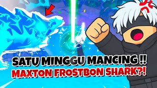 Download Lagu SEMINGGU MANCING !! Maxton Frostborn Shark YANG SUSAH !! Fish it MP3