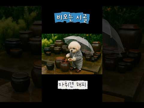 비오는 시골,강아지시골,파전먹방#rainy countryside, Korean countryside, rainy day vibes,#dogvideos #雨の田舎, 韓国の田舎
