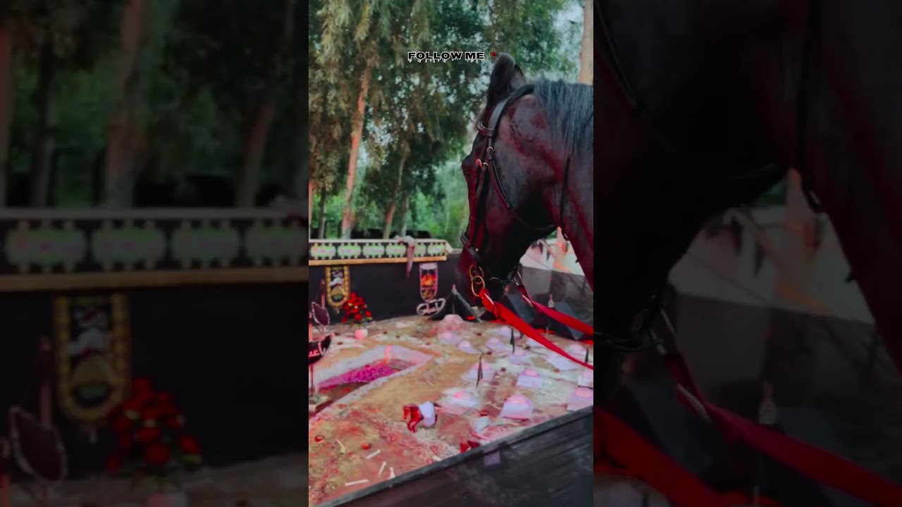 jolly sadat zulhajah 