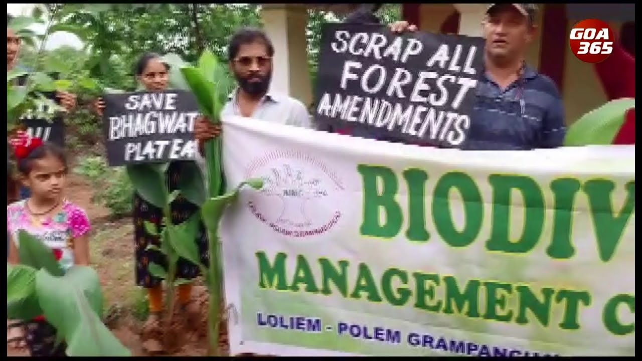 Don’t play with nature’: Canacona locals plant trees at proposed Film city site || KONKANI || GOA365