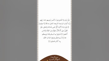 تلاوة في دقيقة سورة السجدة الآيات ١٢ ١٤ الشيخ ياسر الدوسري