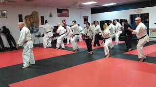 Doing Isshinryu Karate 15th basic