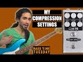 How I Set My Compressor | Bass Tone Tuesday