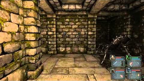 Grimrock Spiders.avi