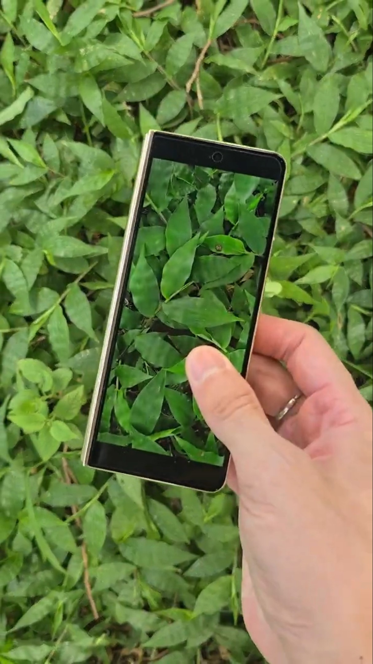 When it appears, it must be an illusion. Digital technology. Samsung. Mobile phone #shorts