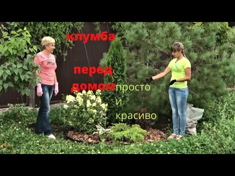 Клумба своими руками перед домом