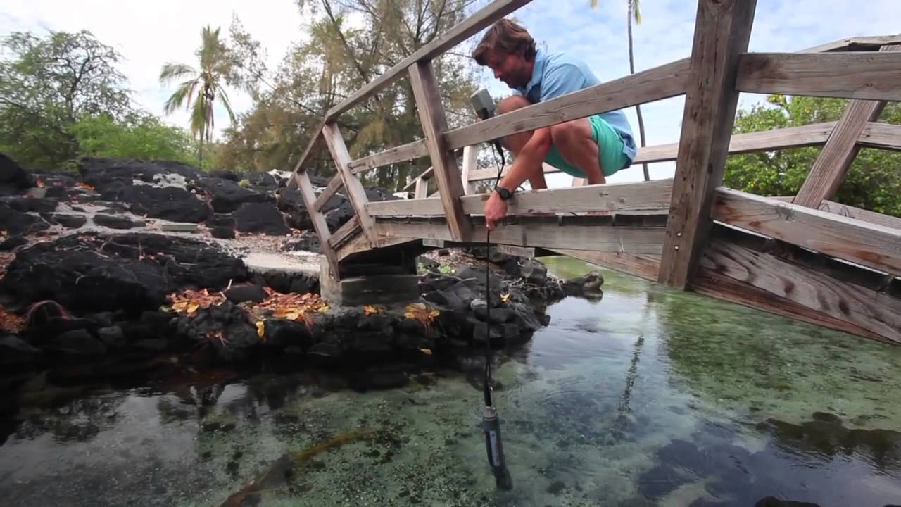 indigenous people of the amazon Restoring Kiholo Bay