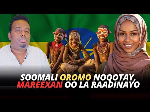 SOOMALI OROMO NOQOTAY QARNIGII 16 AAD IYO HOOYO RAADINAYSO HOOYADEED QABIILKEEDA OO MAREEXAN AH
