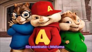 Sin contrato Maluma - Alvin y las ardillas