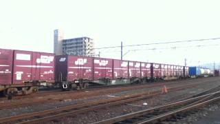 EF81 135:1073レ@南福井発車