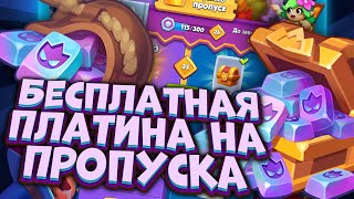 Rush Royale | Успейте Забрать Свою Платину | 1375 Платины Подписчикам | Имба Предложение | Aleppo