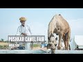 PUSHKAR CAMEL FAIR FESTIVAL -  Incredible India  I Travel Story (4K Video - FUJIFILM X-H1)