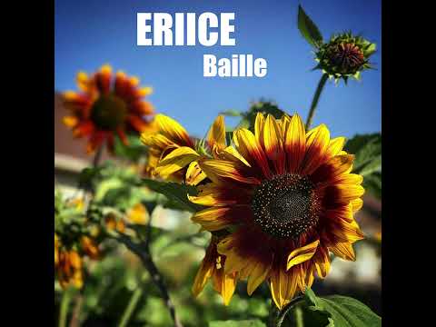 ERIICE Baille EXTENDED VERSION BENIS FAN 