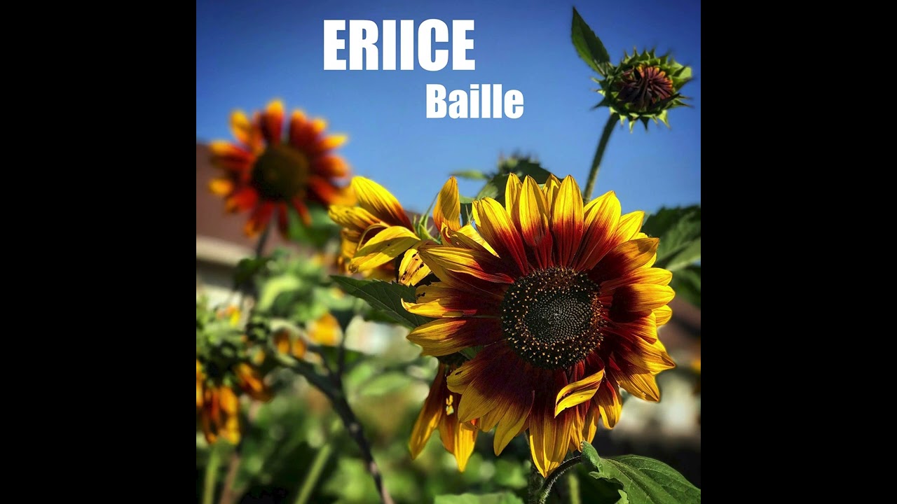 ERIICE - Baille (EXTENDED VERSION) BENIS FAN