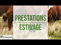 Les prestations estivage de nos conseillers proconseil production animale  estivage